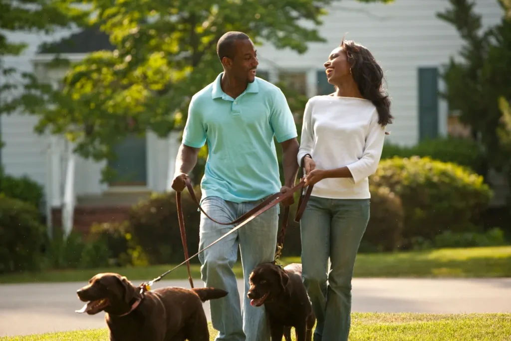 Couple walking dogs in suburban neighborhood.